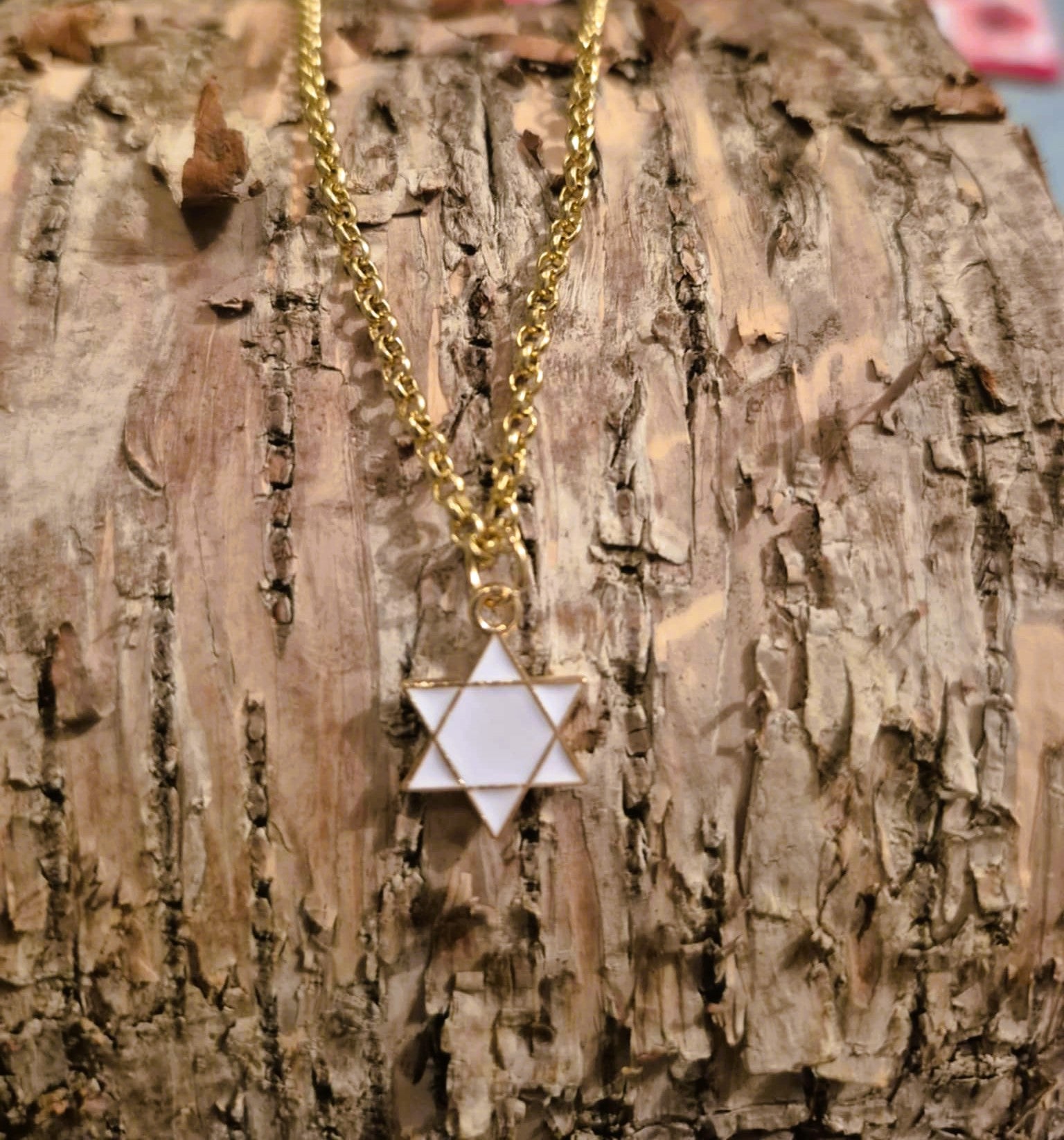 Chaîne Arbre de Vie, Dauphin & Étoile de David – Symboles de beauté et d’harmonie